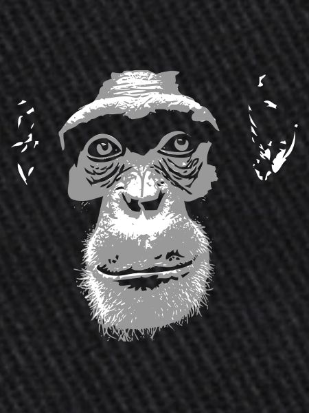 Schimpanse - Chimpanzee - Monkey