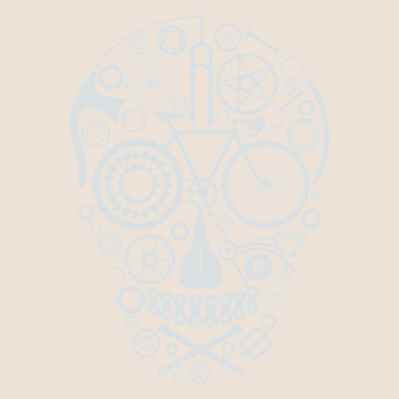 Bicycle Skull light grey