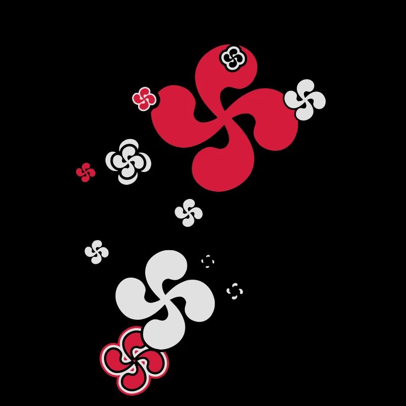 Croix Basque star