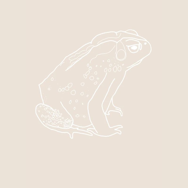 toad