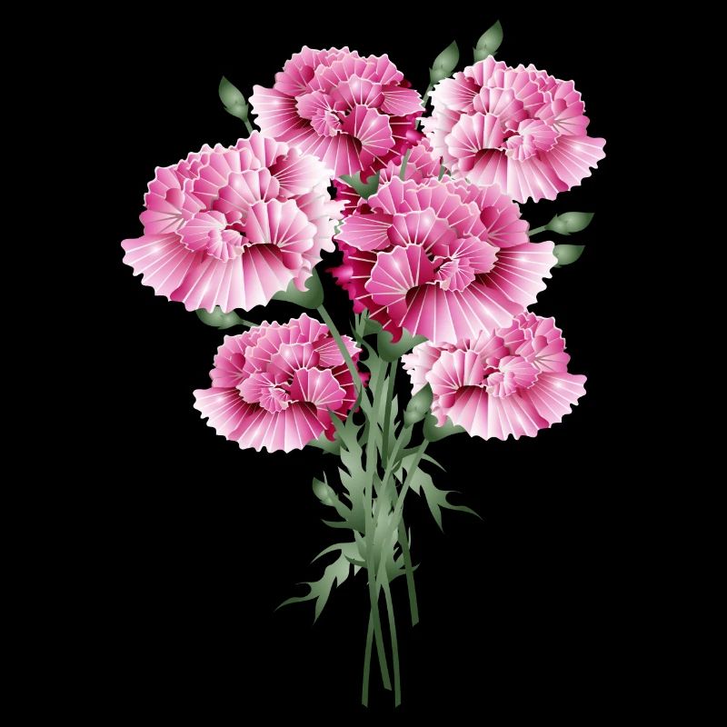 fascinant bouquet rose d’œillets