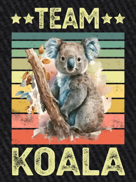 Koala Koala Ours