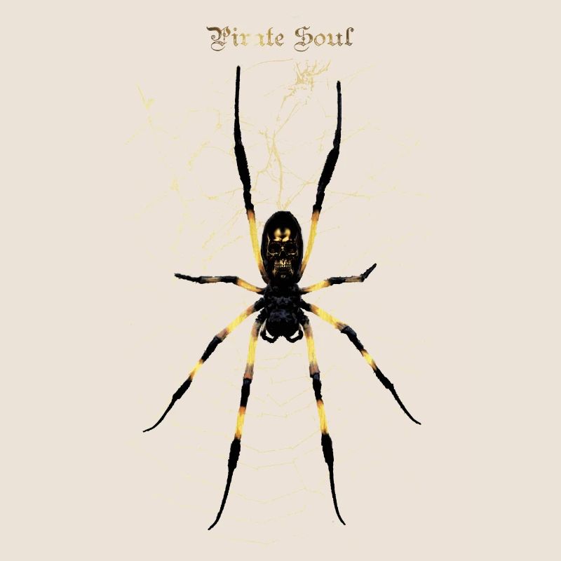 SPINNE