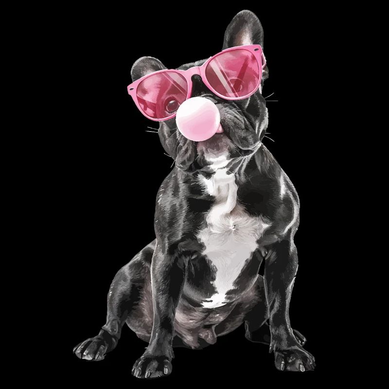 Boston Terrier