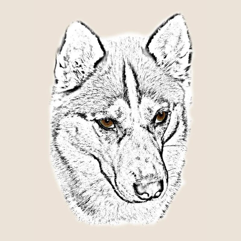 Wolfskopf Line Study