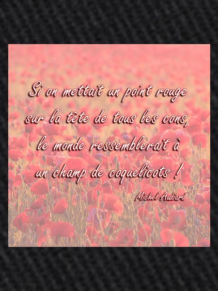 Champs de coquelicots