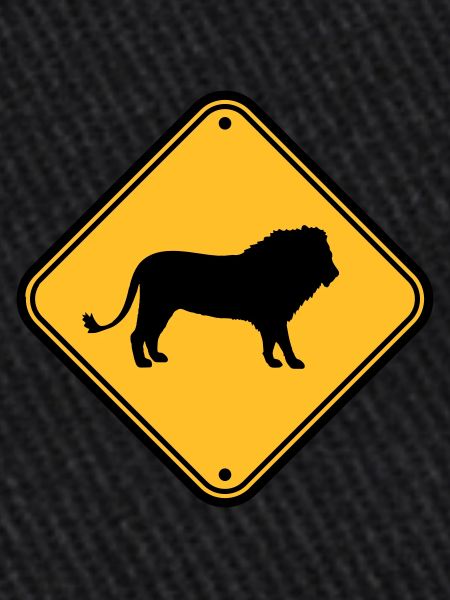Beware Lion Shield