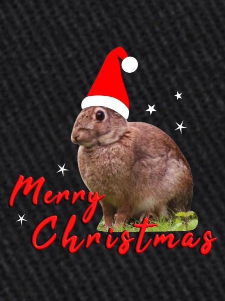 Joyeux Noël Lapin