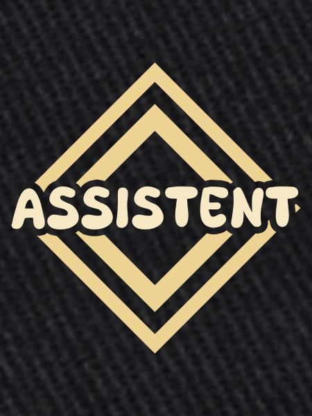 Assistant