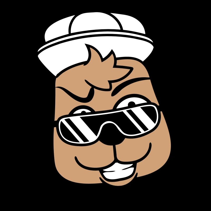 DJ chien lunettes de soleil adolescent casquette cool guy