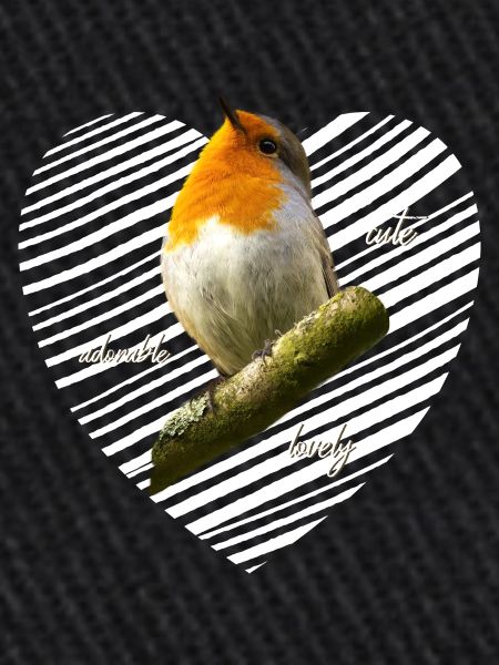 Robin, doux, sucré