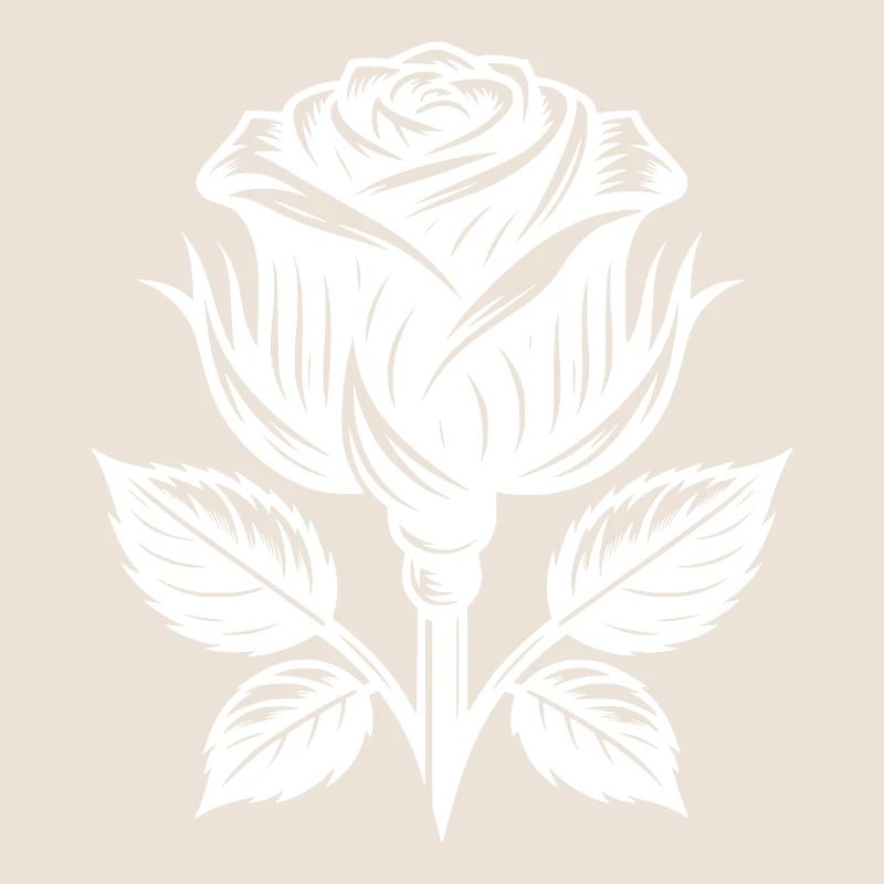 Beauté classique de la rose Fleur de rose