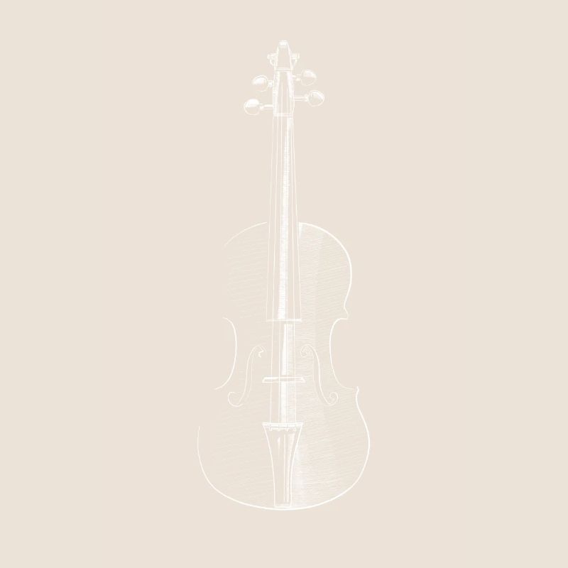 violin