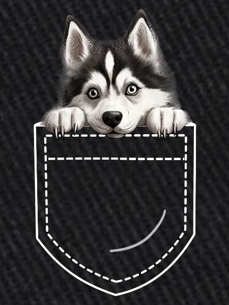 Chien Husky