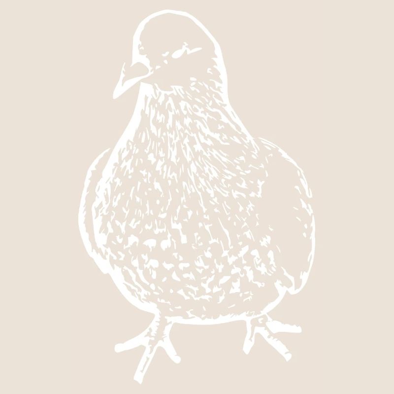 Blanc oiseau