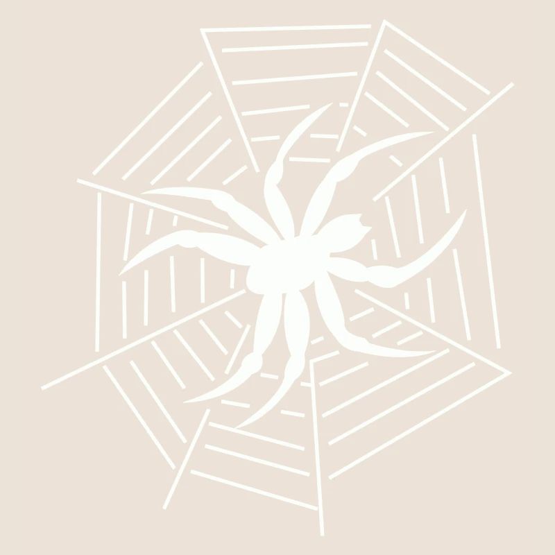 Spinne Spider