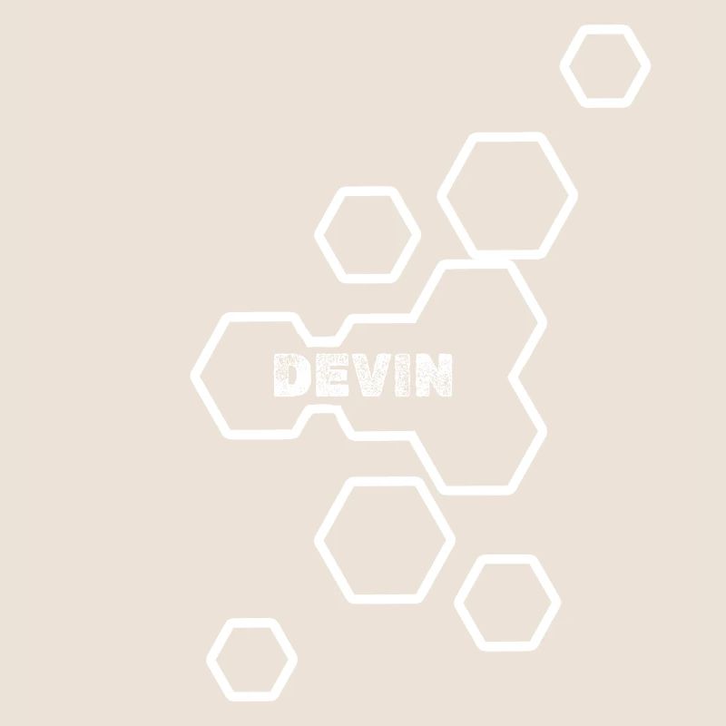 Gift for Devin