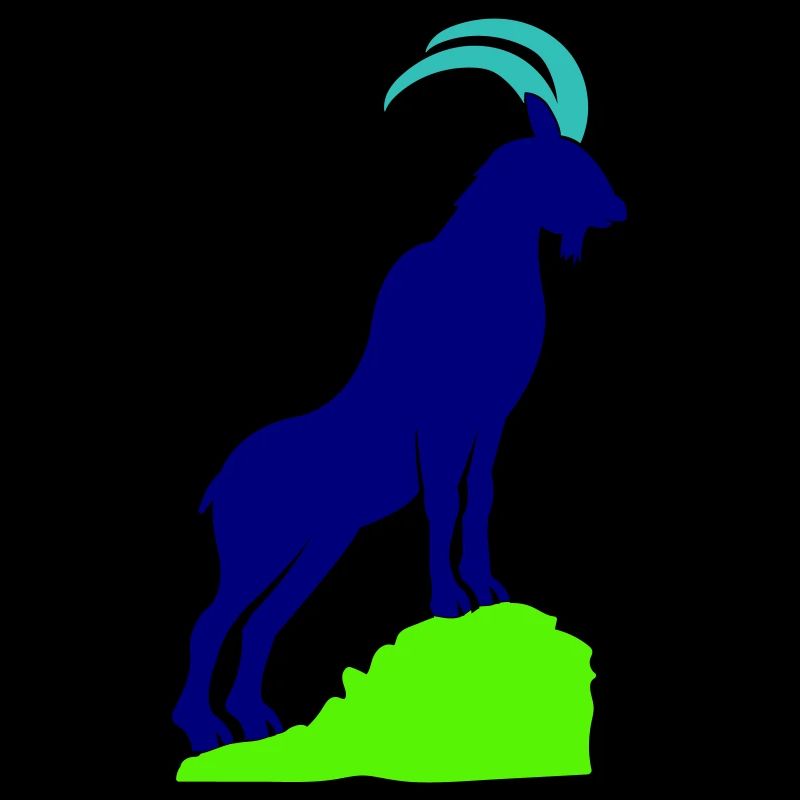 Capricorn 02