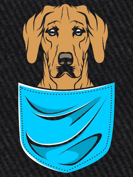 Rhodesian Ridgeback
