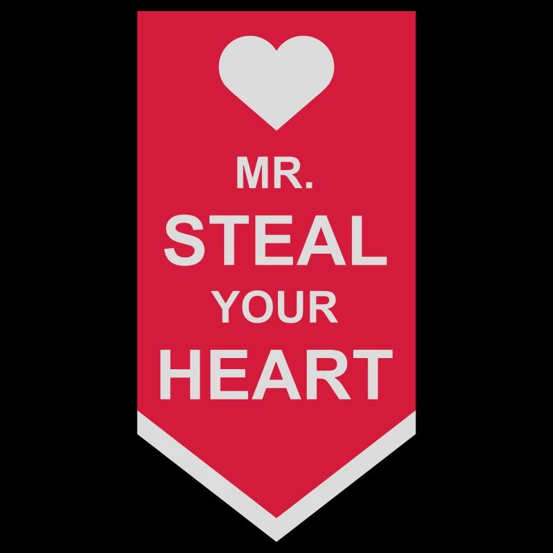 mr steal your heart