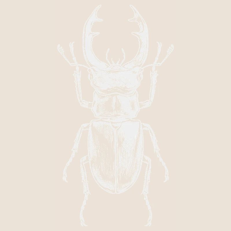 Conception de gros insectes