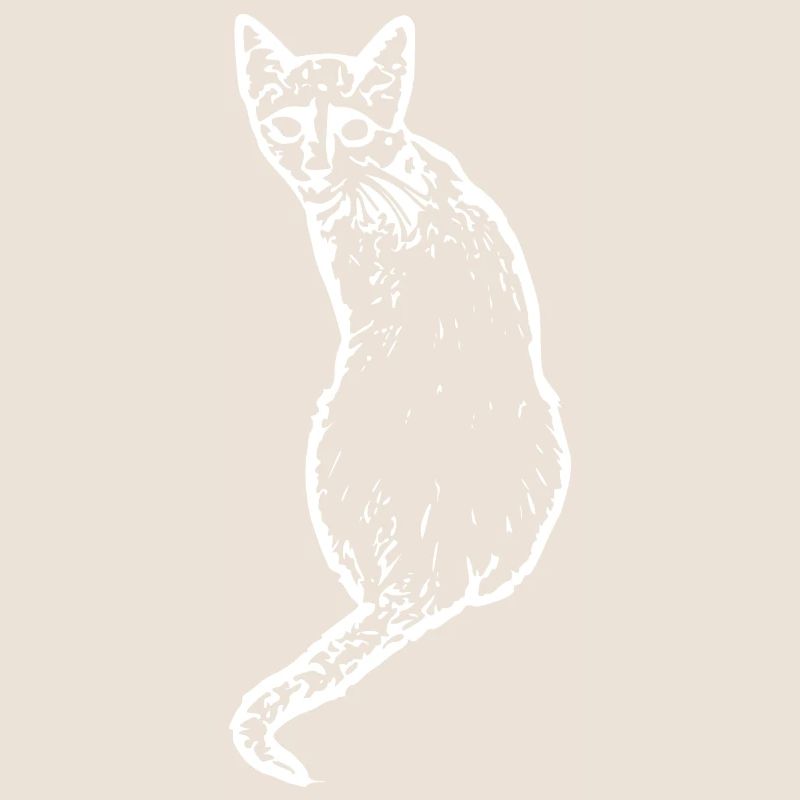 Chat Blanc Blanc Chats Chaton Mignon