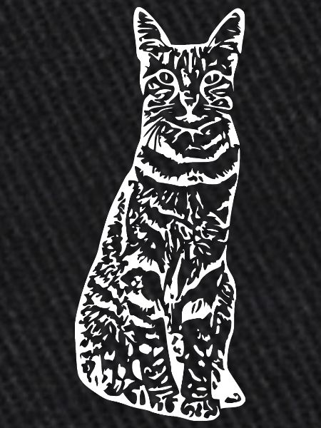 Chat chat chaton
