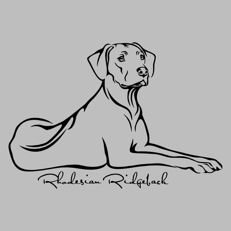 Rhodesian Ridgeback liegend mit Ridge