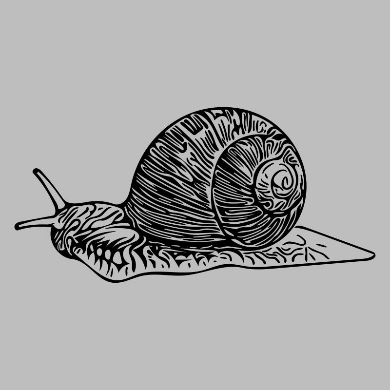 escargot