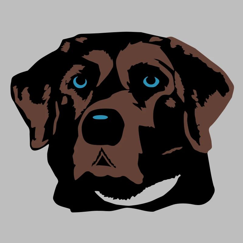 Labrador braun, blond oder schwarz