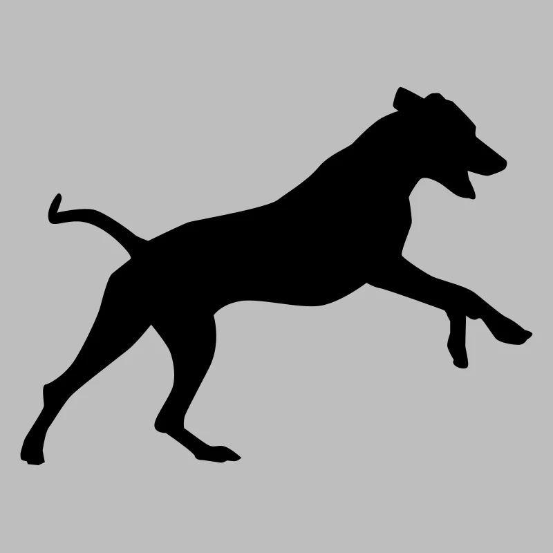 Rhodesian Ridgeback