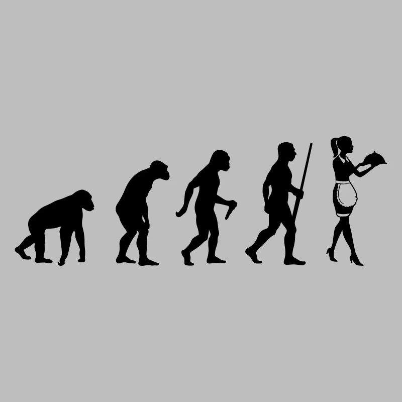 Évolution de la serveuse