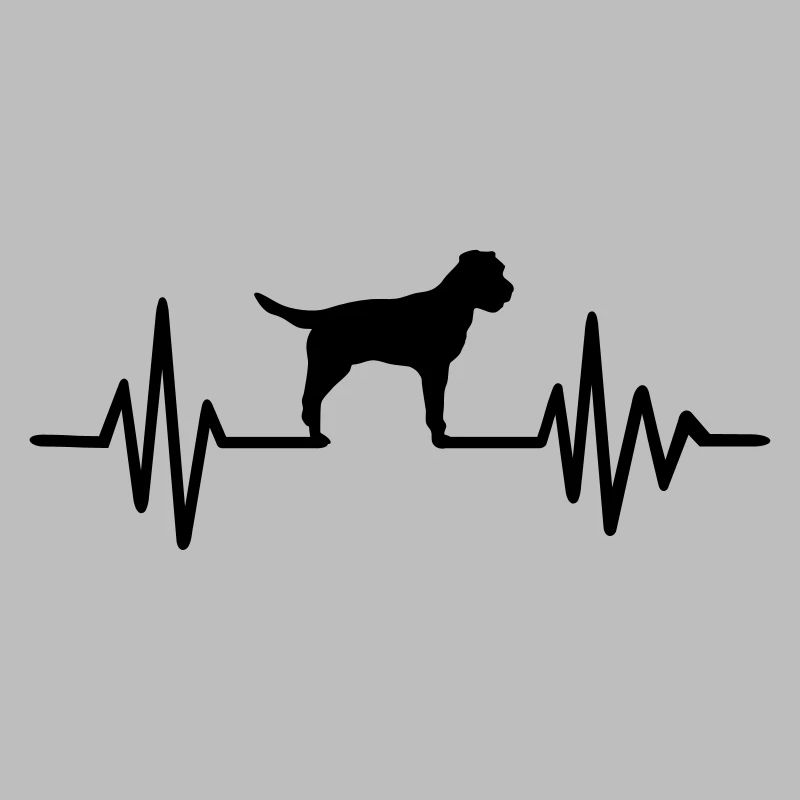 Border Terrier