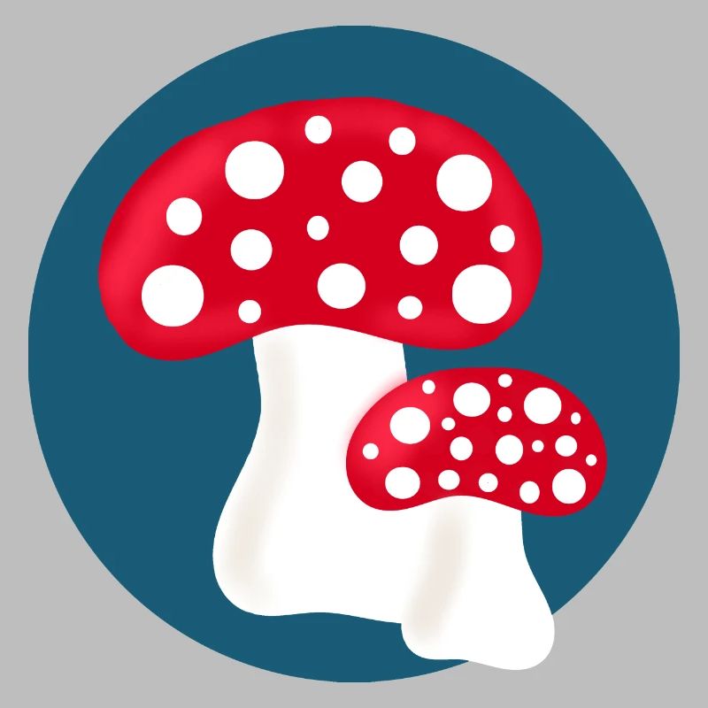 Toadstool, mushroom in the woods gift