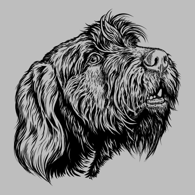 Pudelpointer redet mit