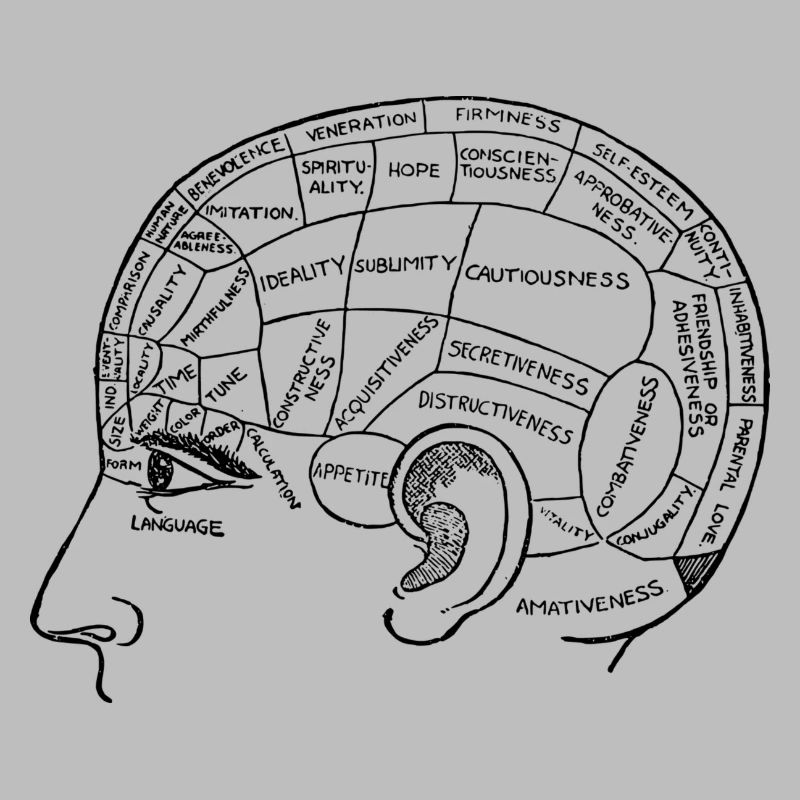 brain