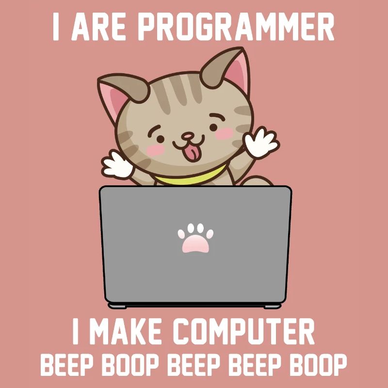 Programmierer
