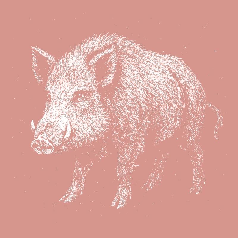 Wildschwein