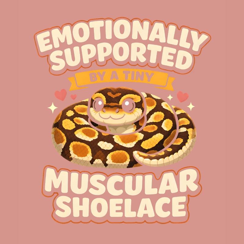 Lacets musclés | Humour du Python Roi