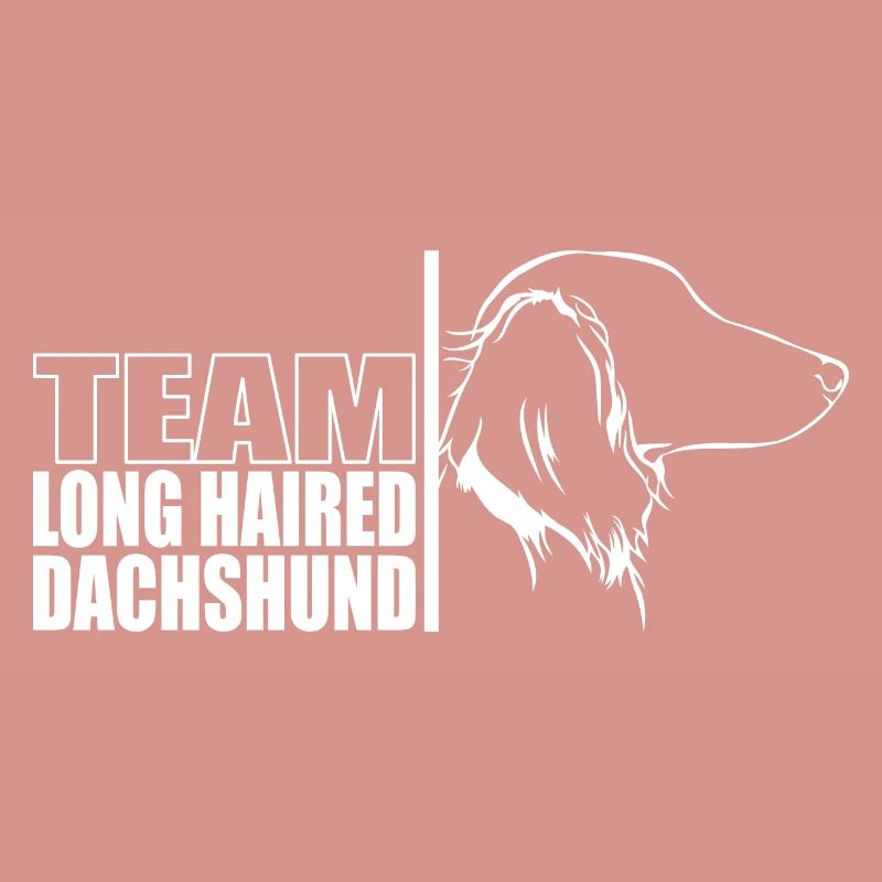 TEAM Teckel à poil long Chiens Teckel Wilsigns