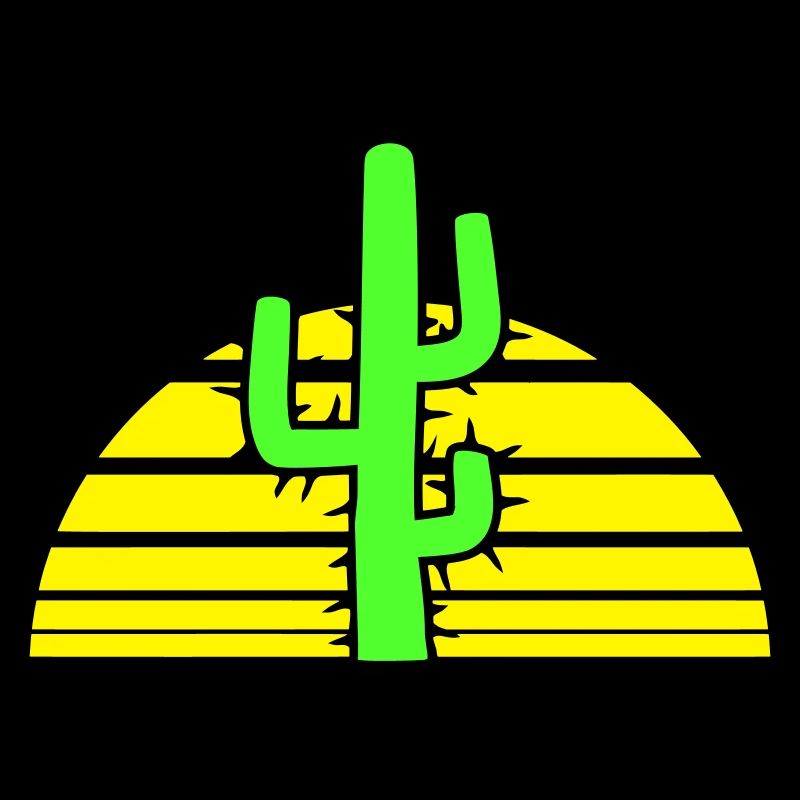 Cactus Sun Prickly Night Desert Sunset