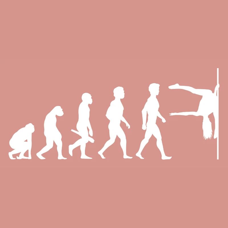Evolution Poledance Pole Dancing Danse