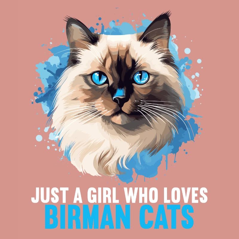 Birman Cat Birma Katze