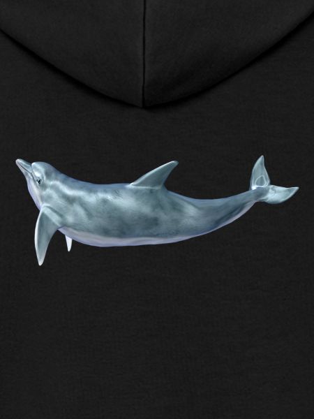 Delfin