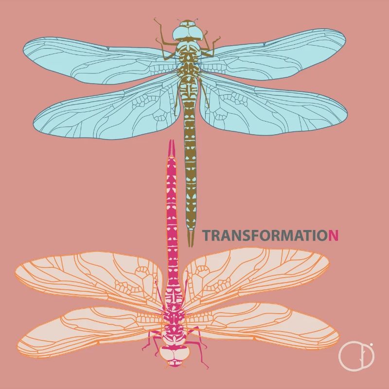 Libellules et transformation par CD