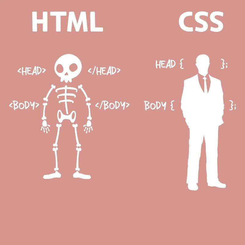 Code Css C++ Php Java Developer Code Scripting