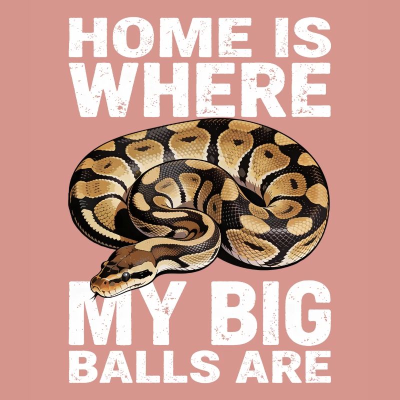 Python roi Serpents Amateurs de terrarium Python