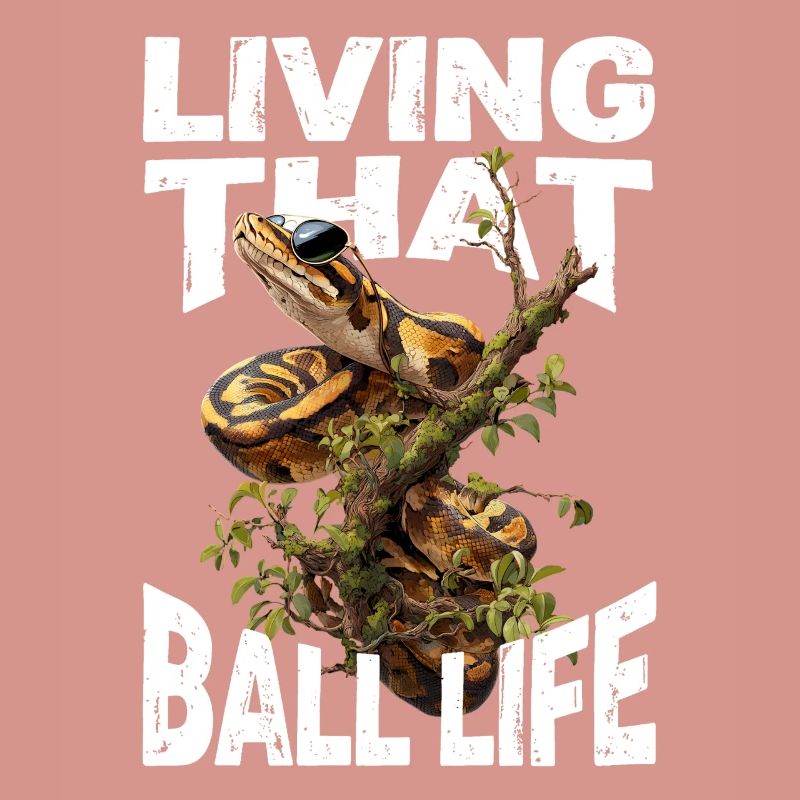 Python roi Serpents Amateurs de terrarium Python