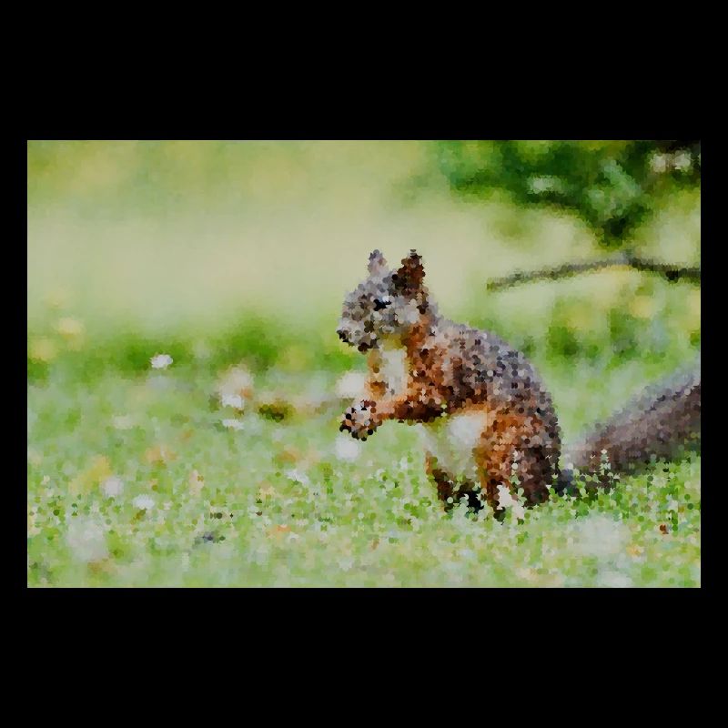 Squirrel Mosaic in the grass field