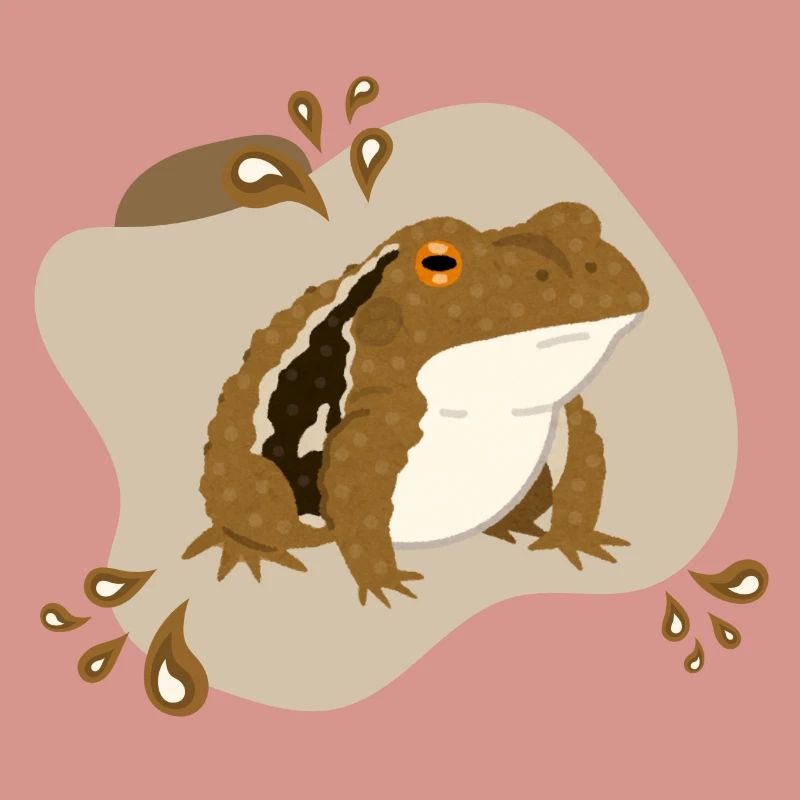 Toad